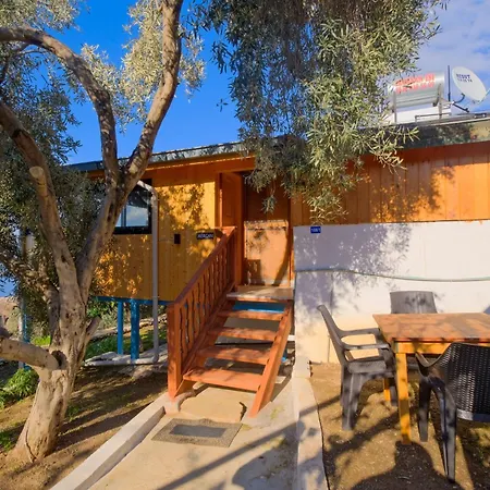 Apartament Bluesea -mercan